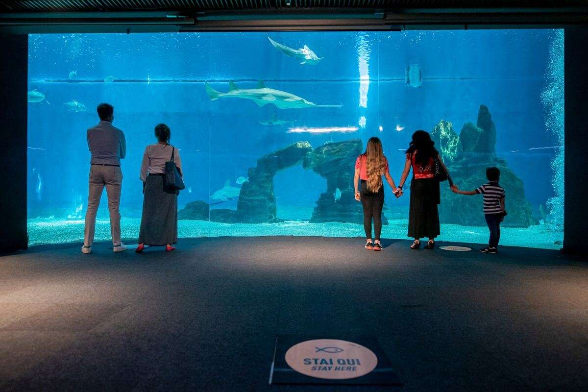 Acquario di Genova – vasca squali certificazione