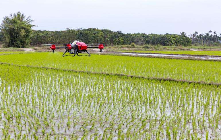 drone agricoltura innovazione agrifood