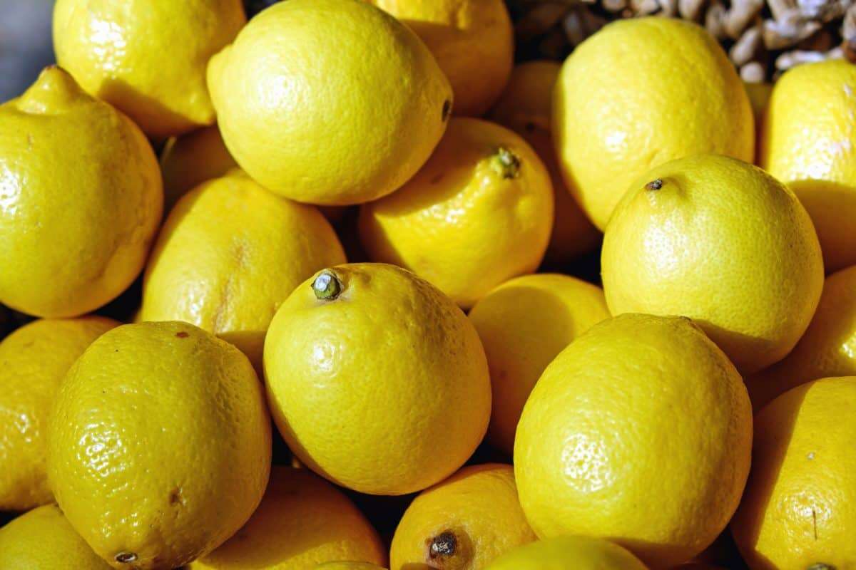limoni due