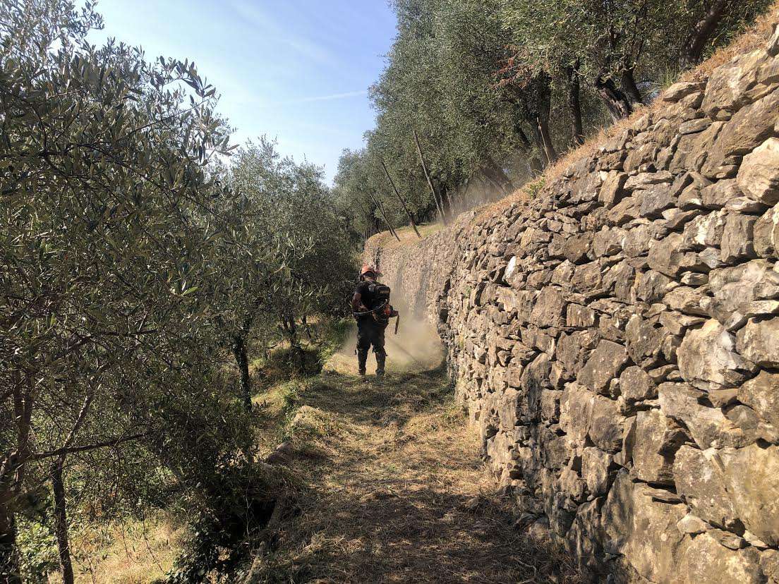 sentiero, sfalci