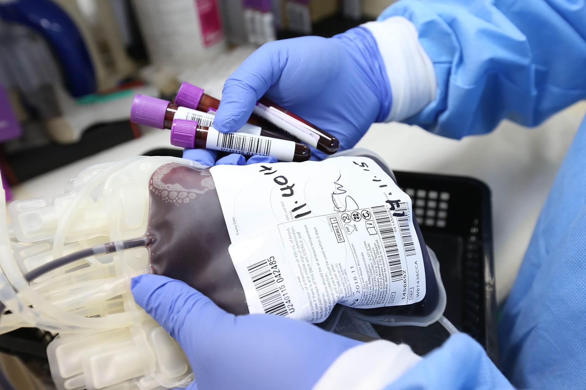 donare sangue