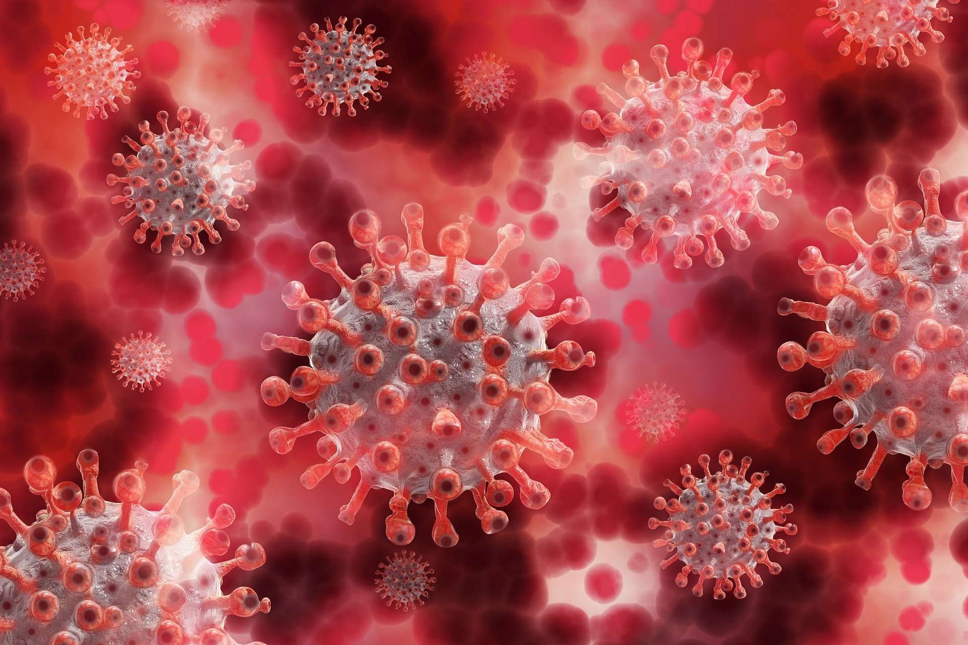 coronavirus covid