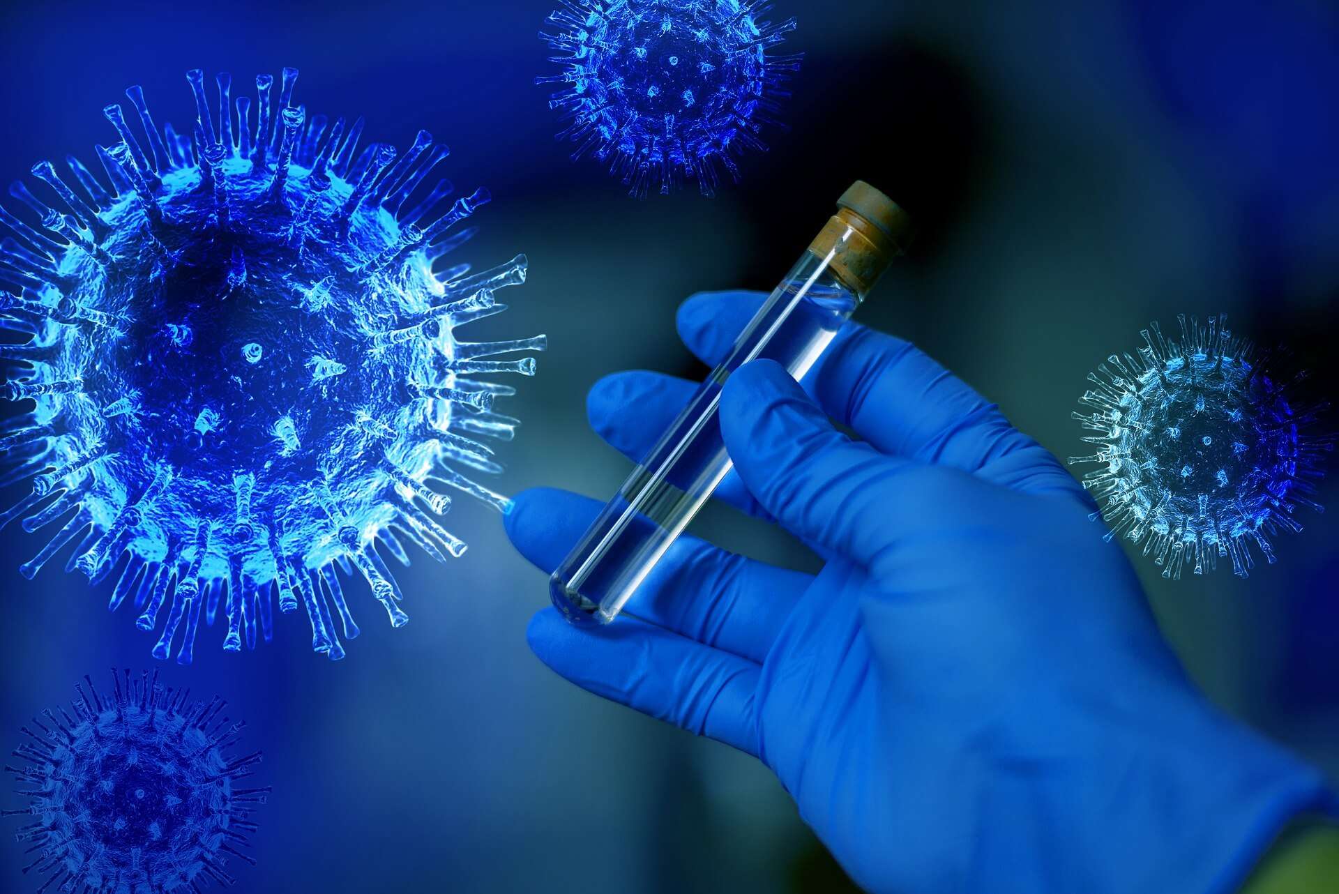 covid coronavirus