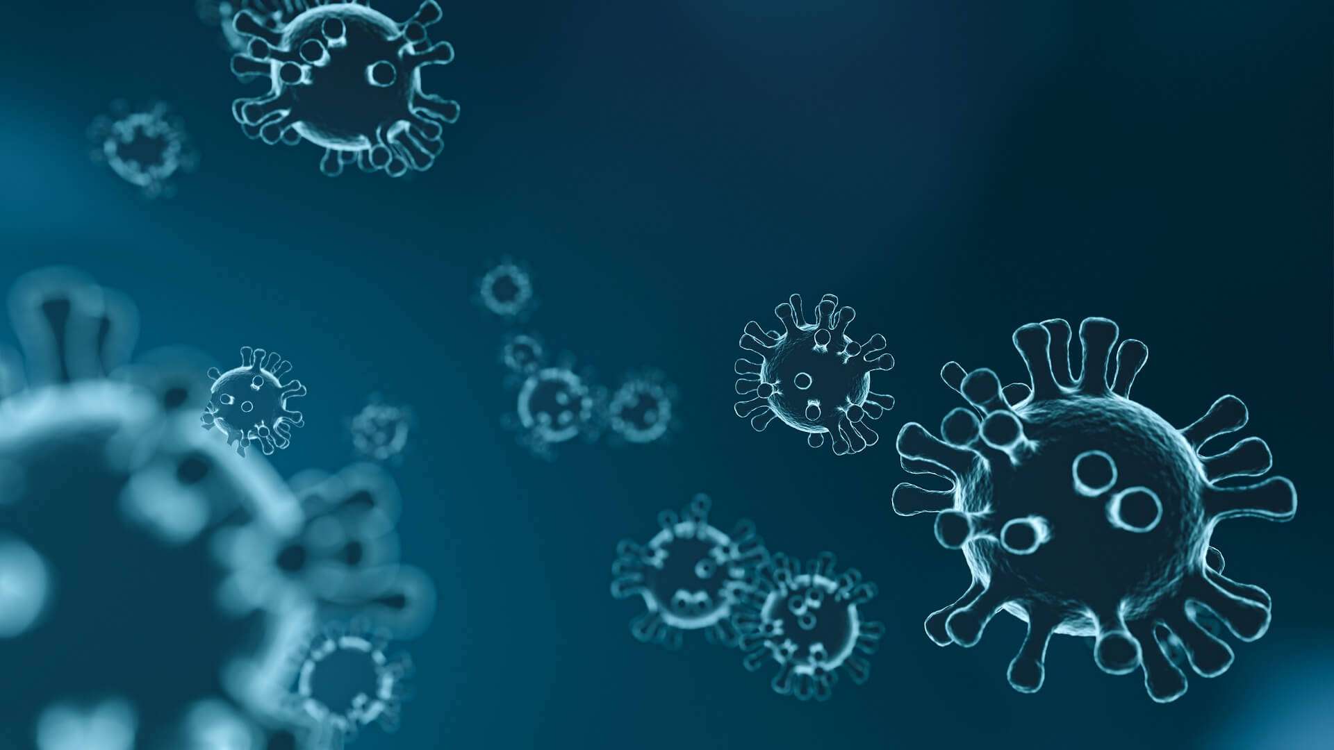 coronavirus covid