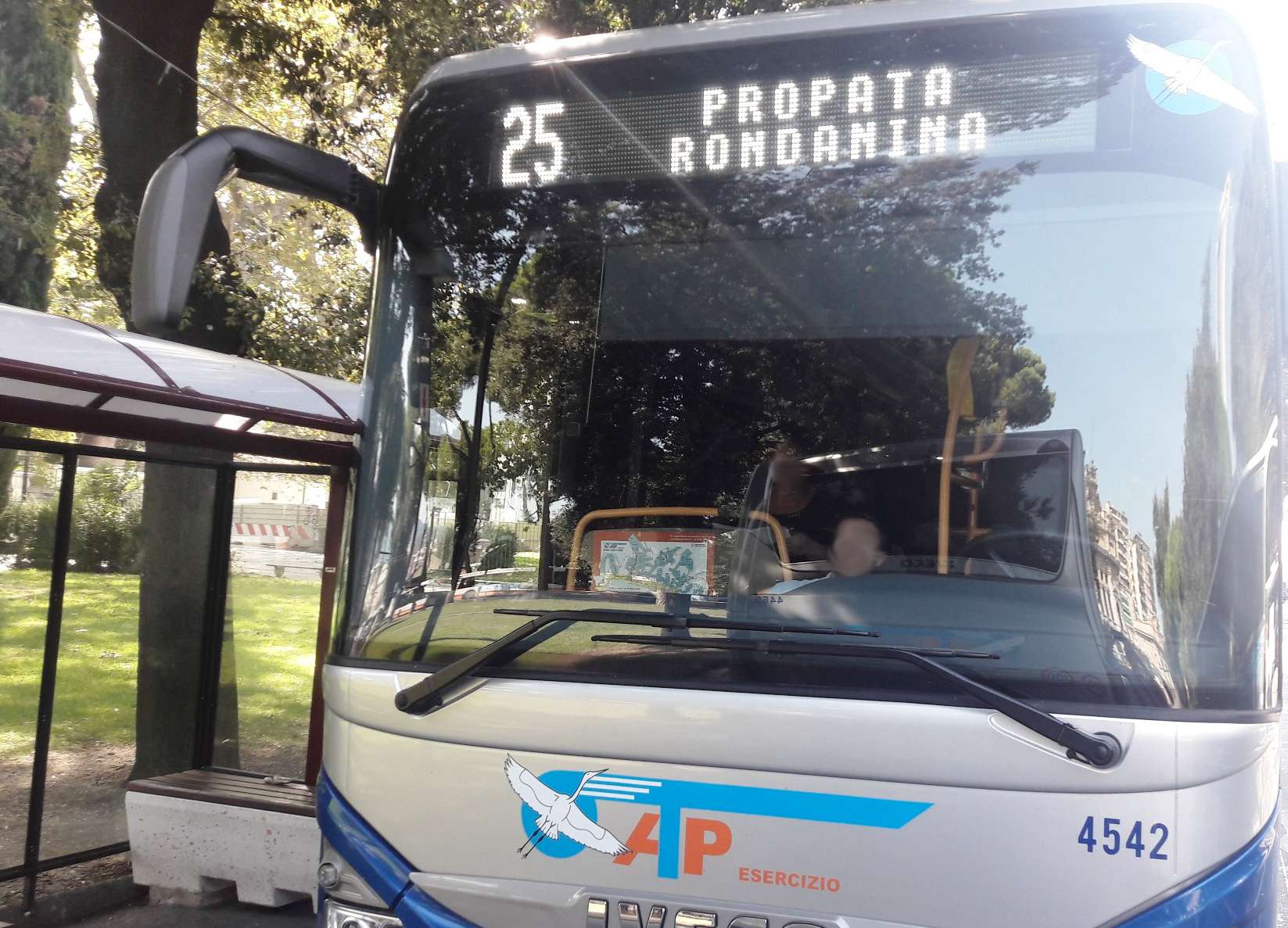 Linea 25 atp, autobus