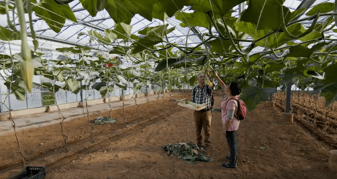 agricoltura, turismo esperienziale