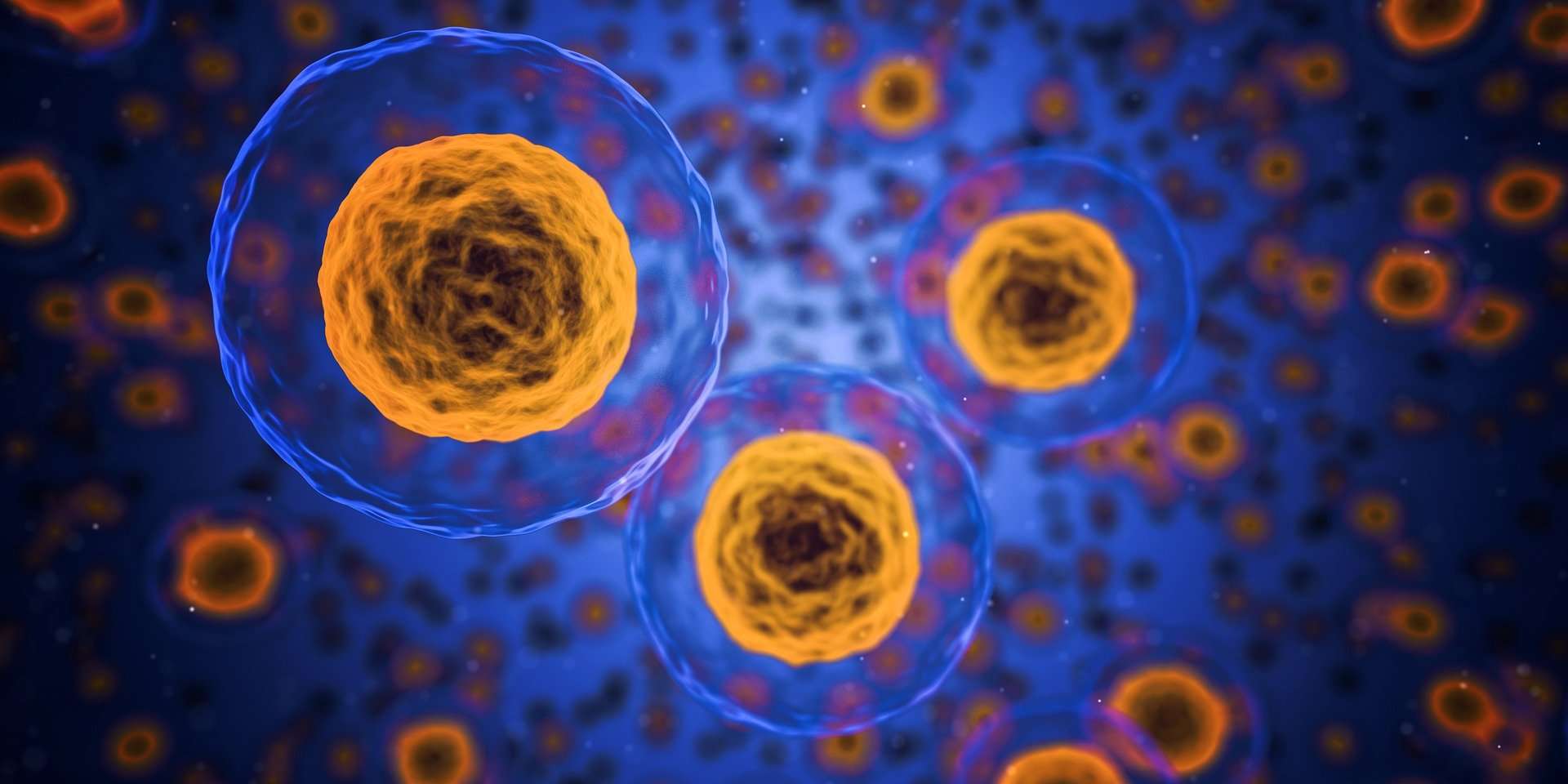 fibrosi cistica cellule ricerca studio