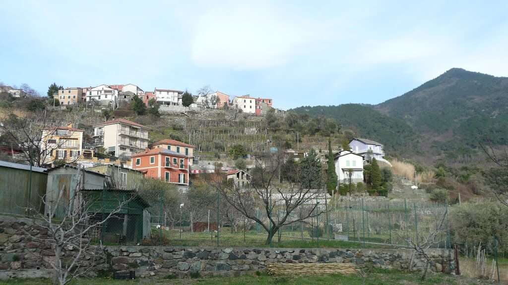 costa di bargone