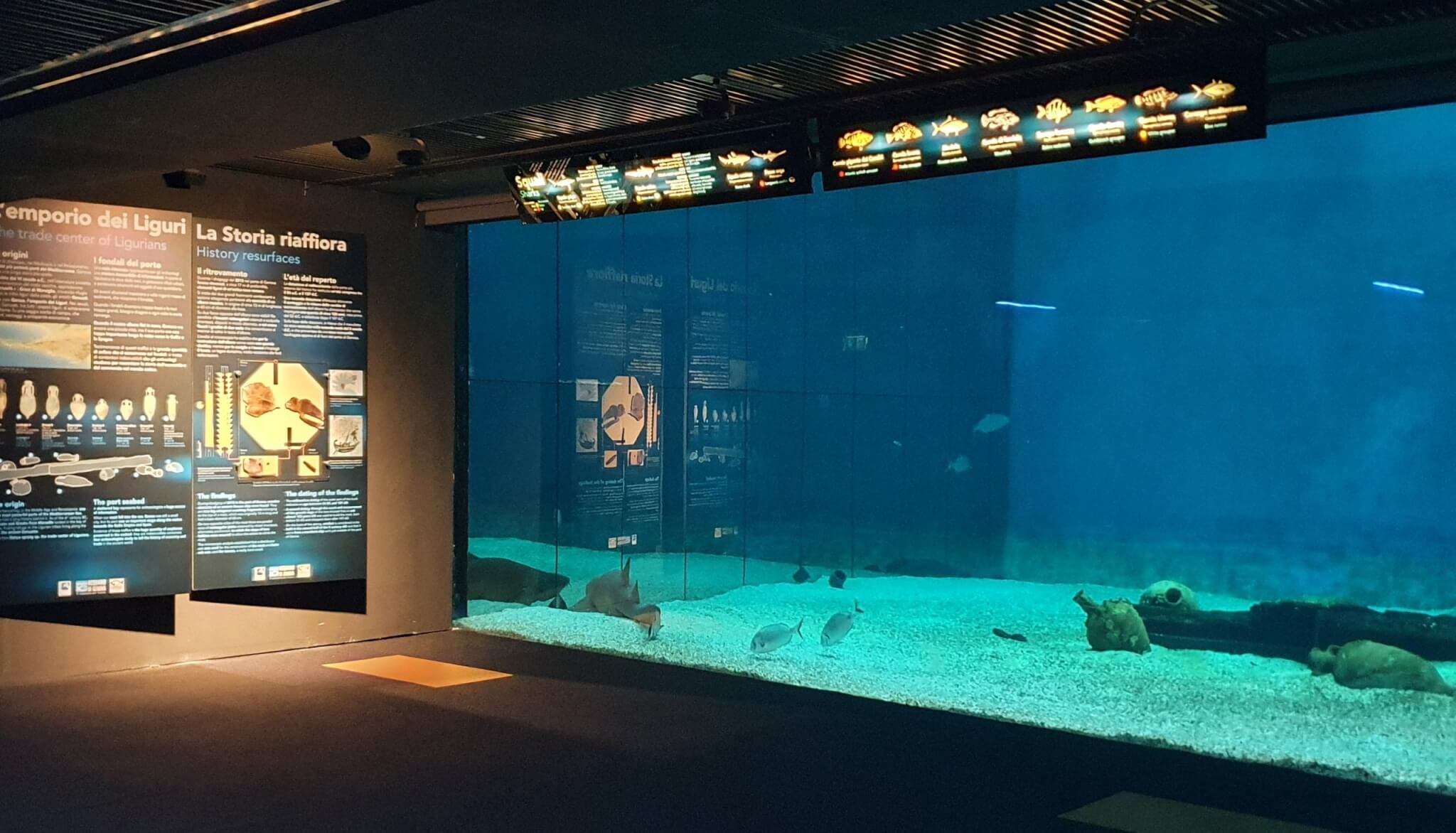 Acquario di Genova vasca squali anfore e albero romano didascalie