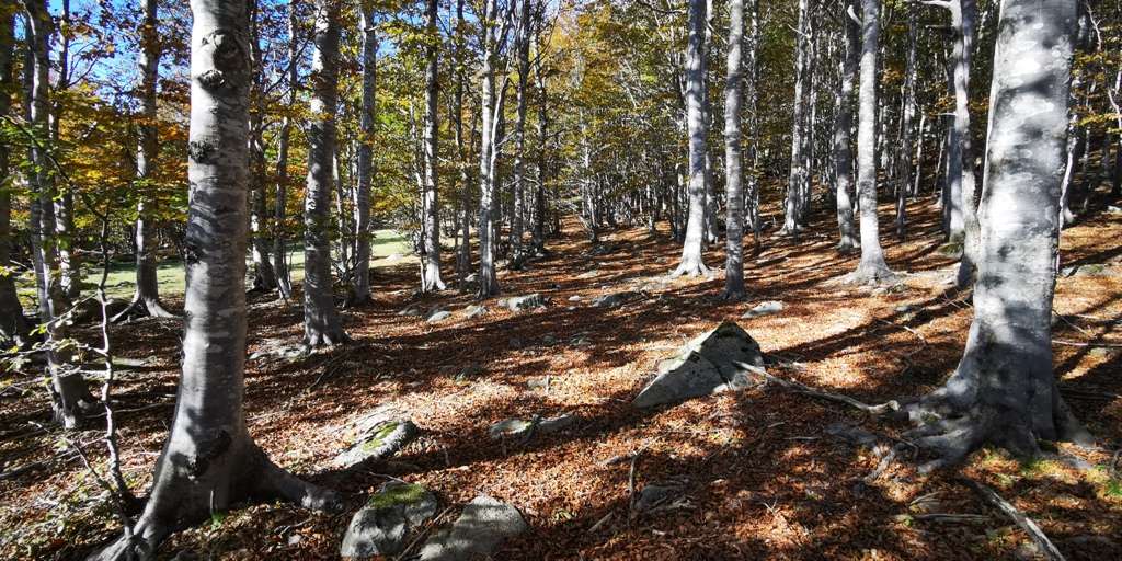 Bagno di Bosco in autunno