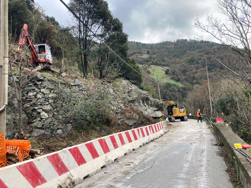via fiorino voltri