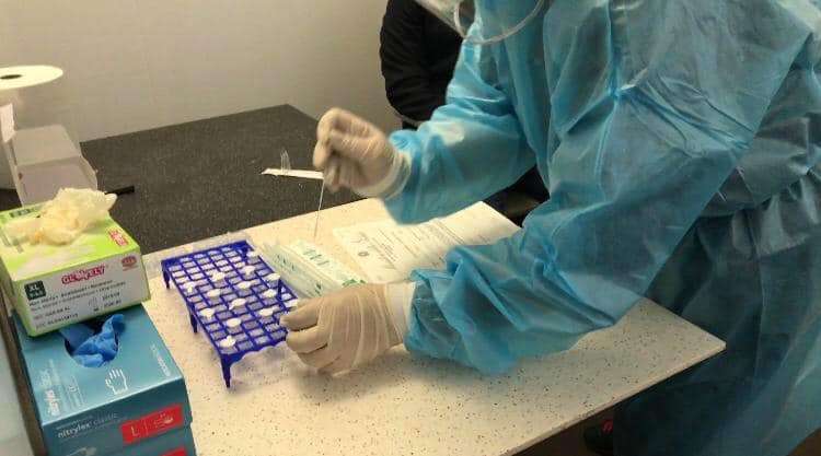 test covid tampone