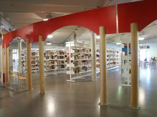 biblioteca de amicis