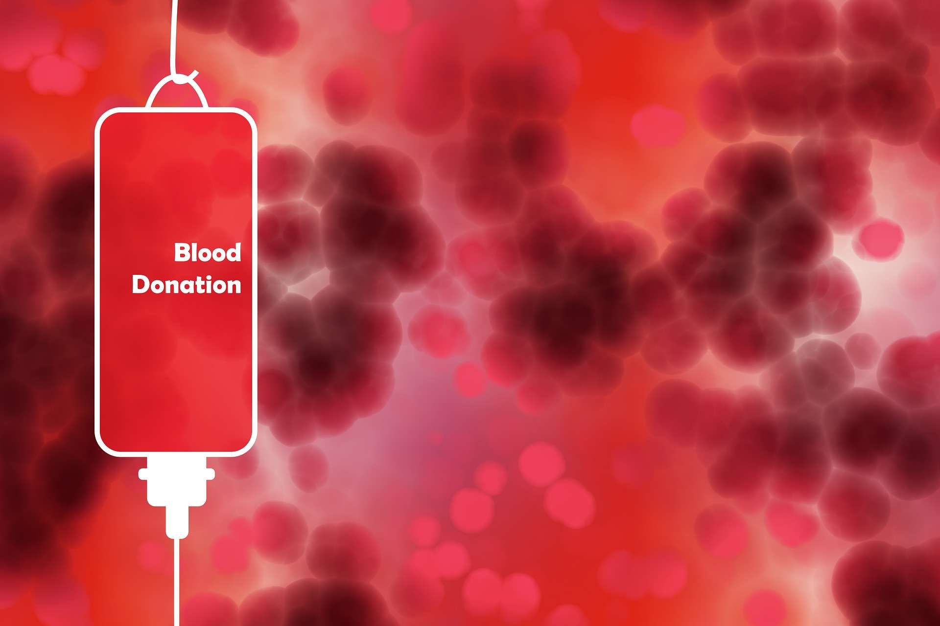 donare sangue trasfusione