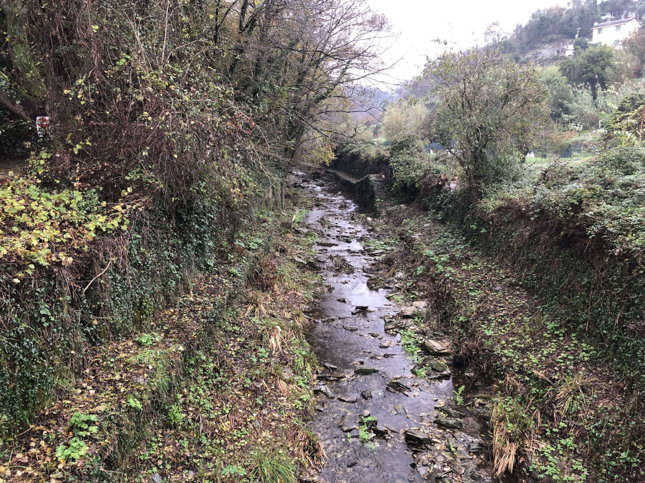 rio campodonico