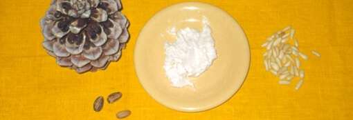 salsa di pinoli