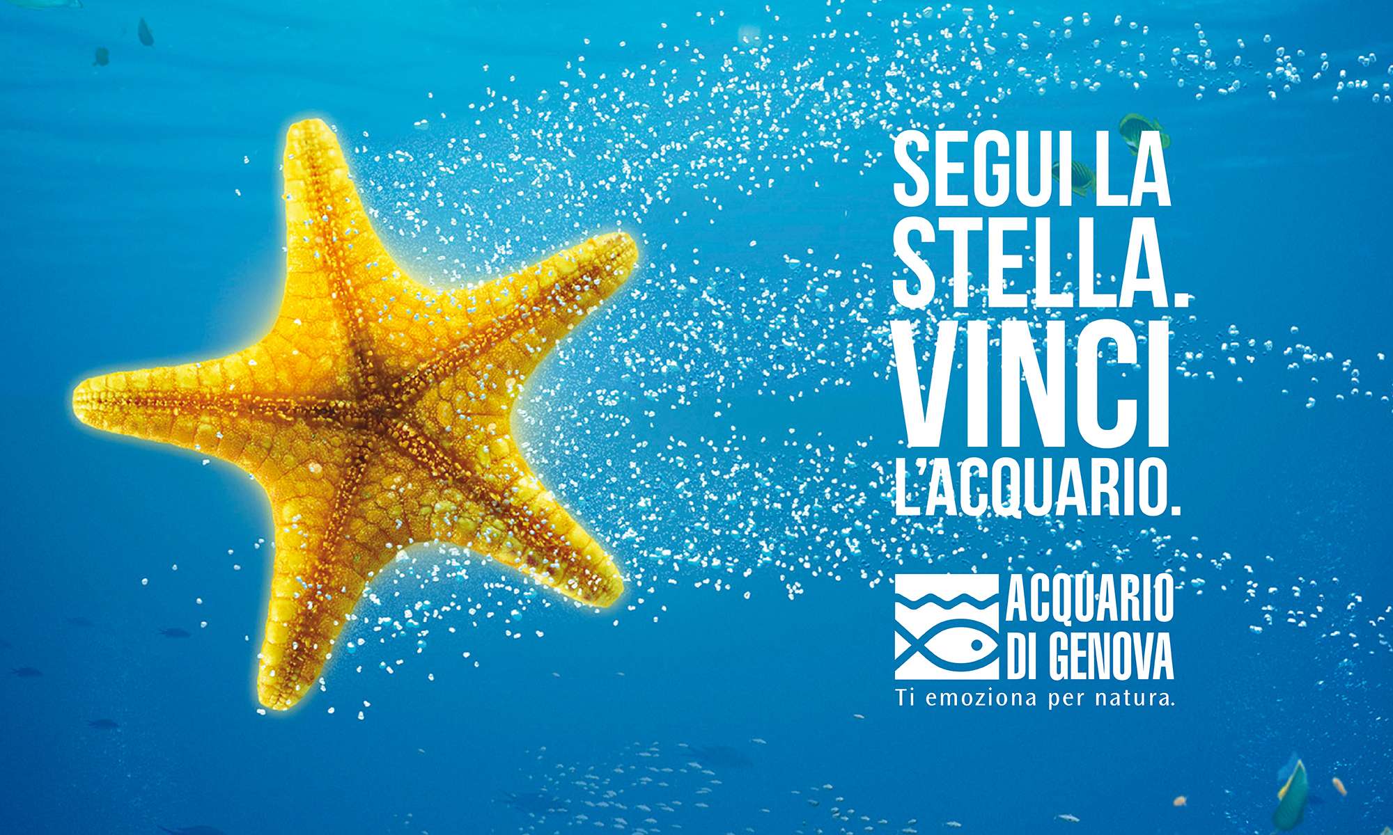 seguilastella acquario