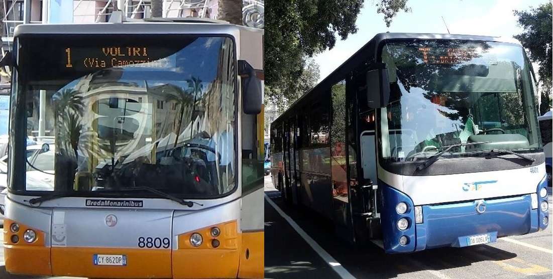 amt atp