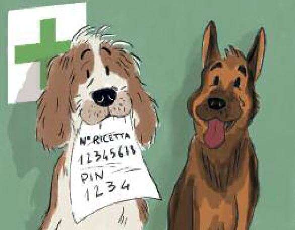 cani farmacia