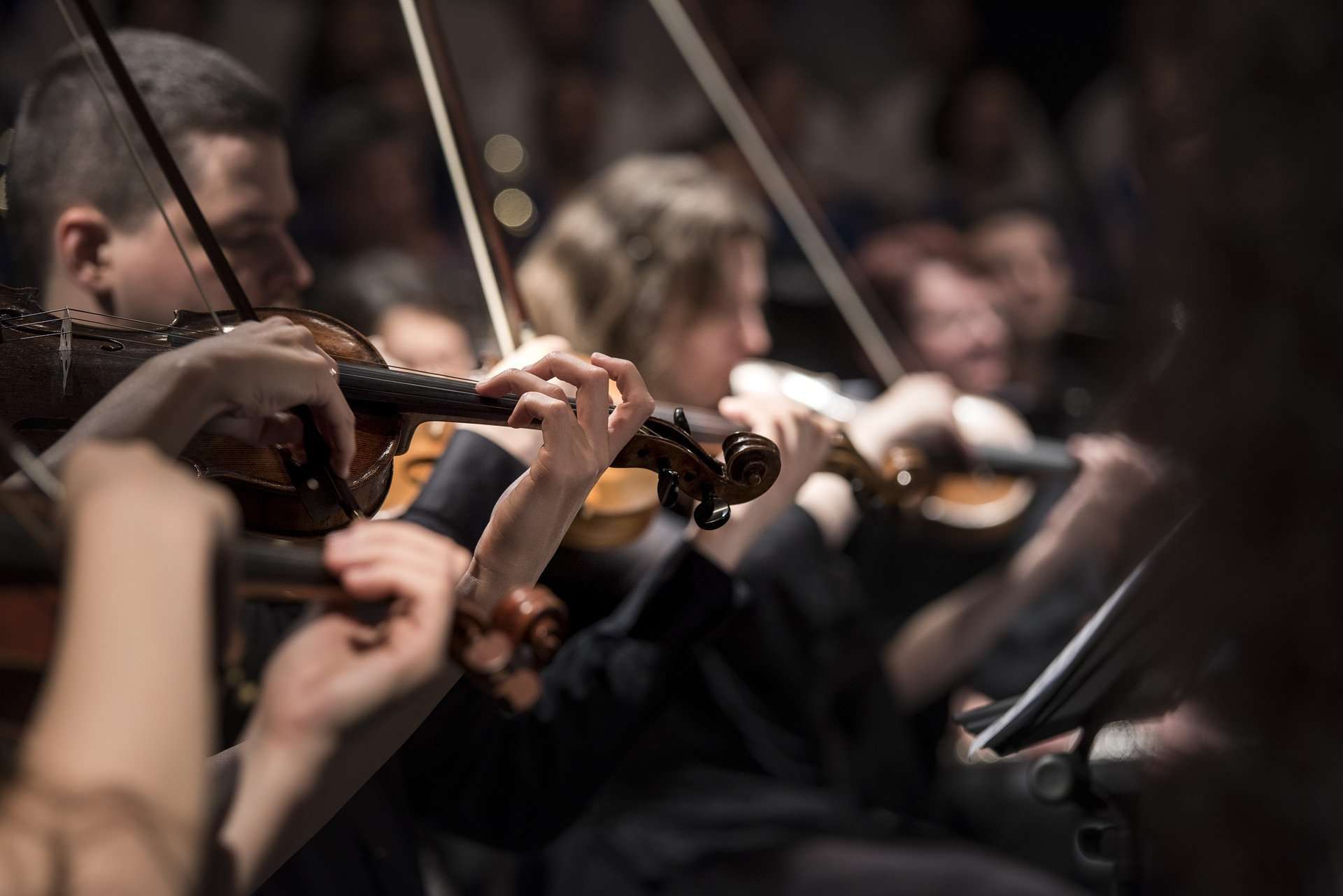musica musicisti spettacolo concerto opera
