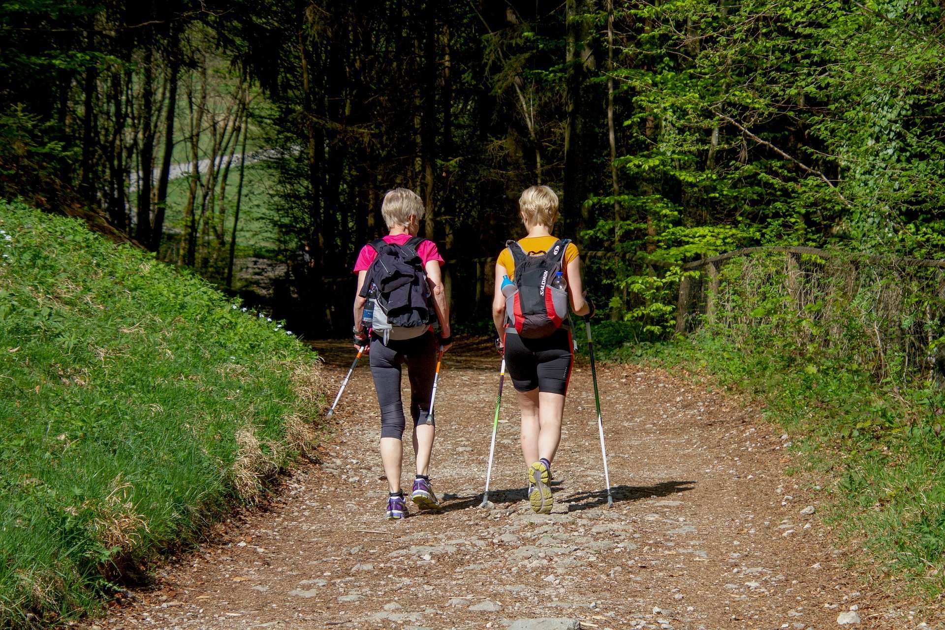 sport nordic walking
