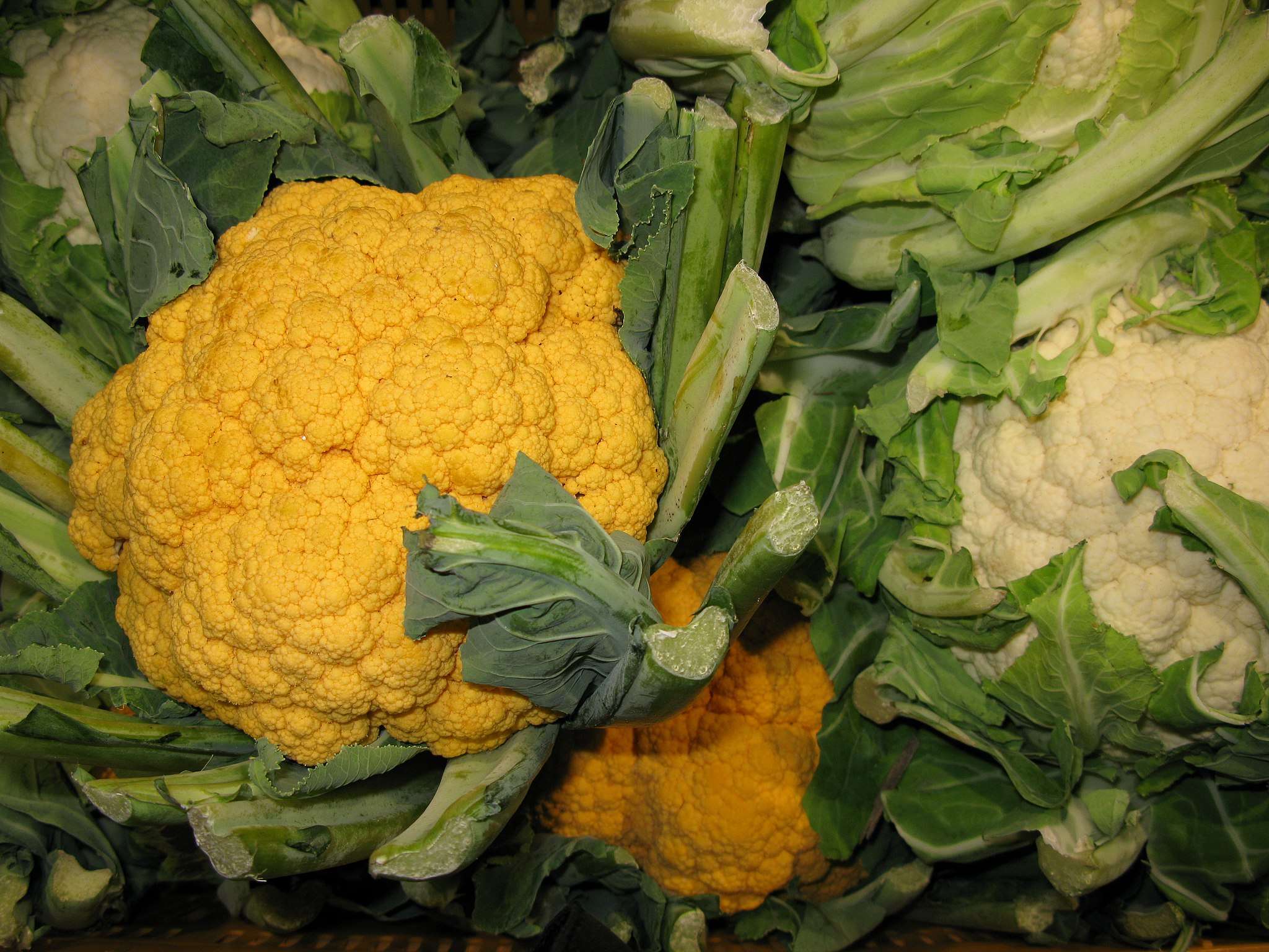 cavolfiore arancione