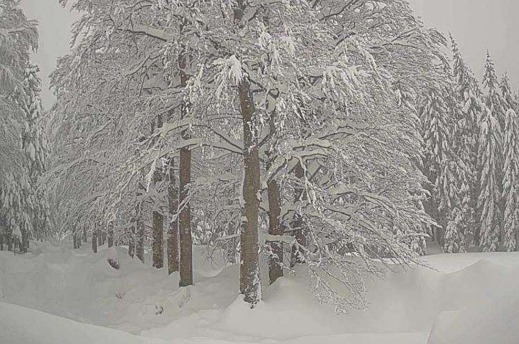 neve liguria monte penna
