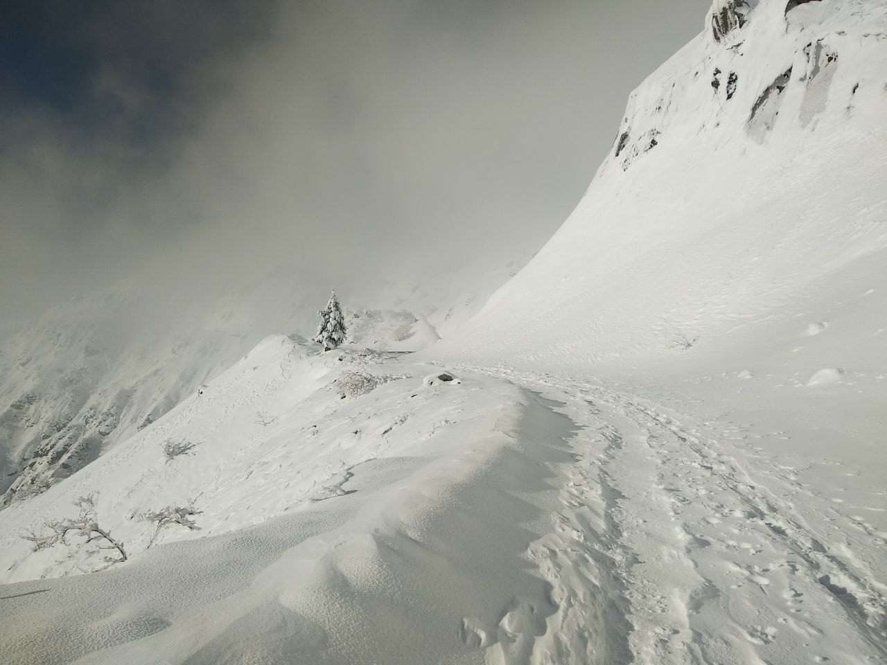 neve