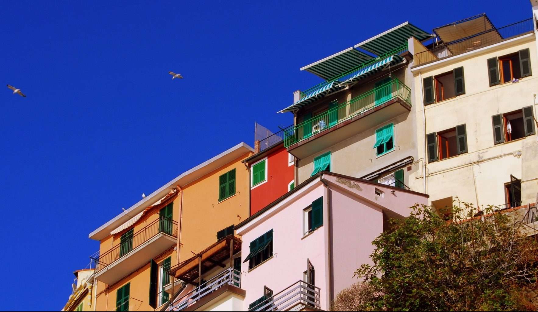 edilizia immobiliare case appartamenti