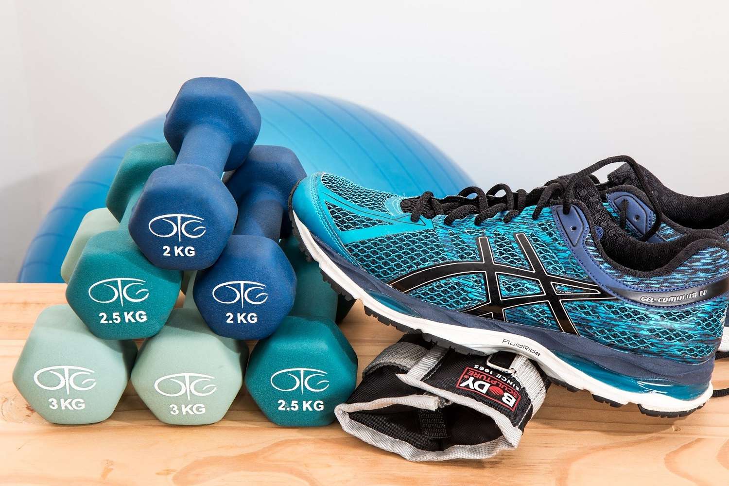 sport palestra società sportiva