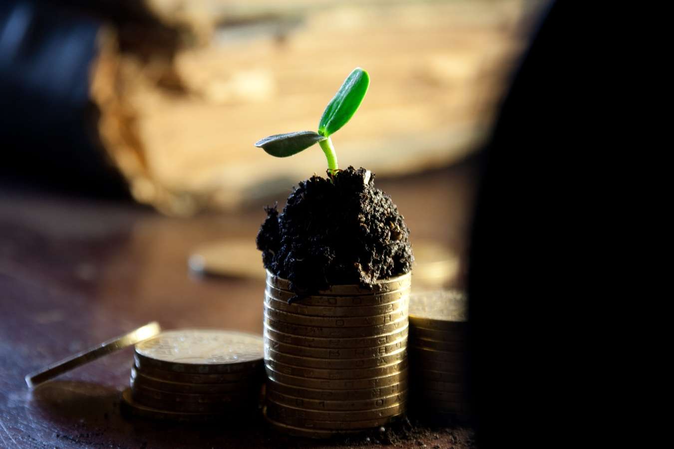 agricoltura psr investimento soldi risorse spesa denaro