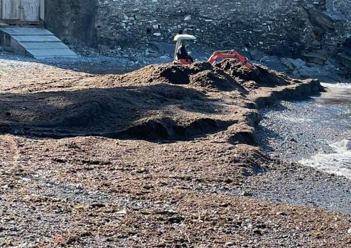 spiaggia spiagge recco sicurezza