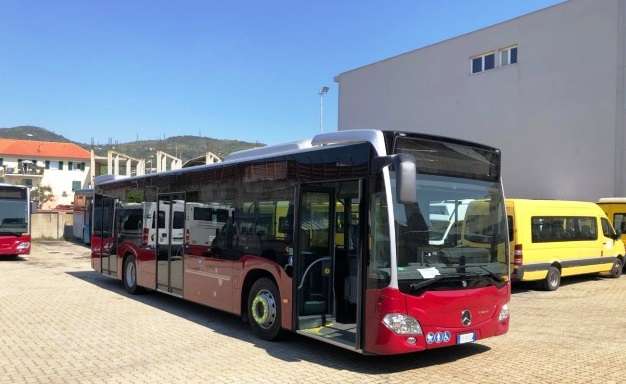 tpl linea bus
