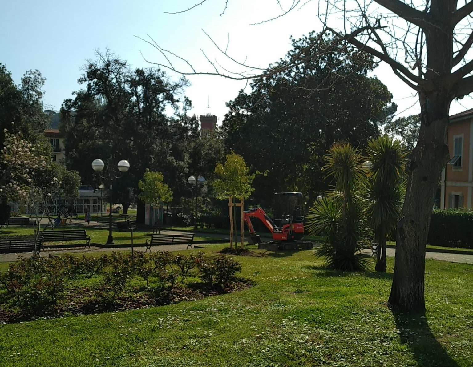 nuovi alberi giardini Ventre sestri levante