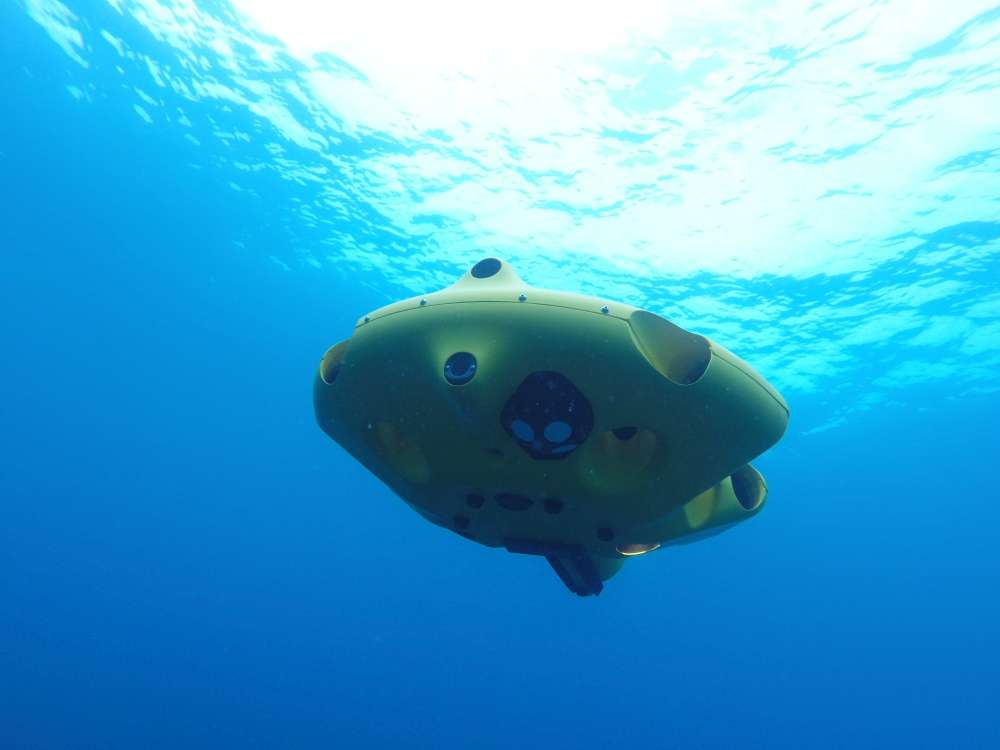 robot sottomarino