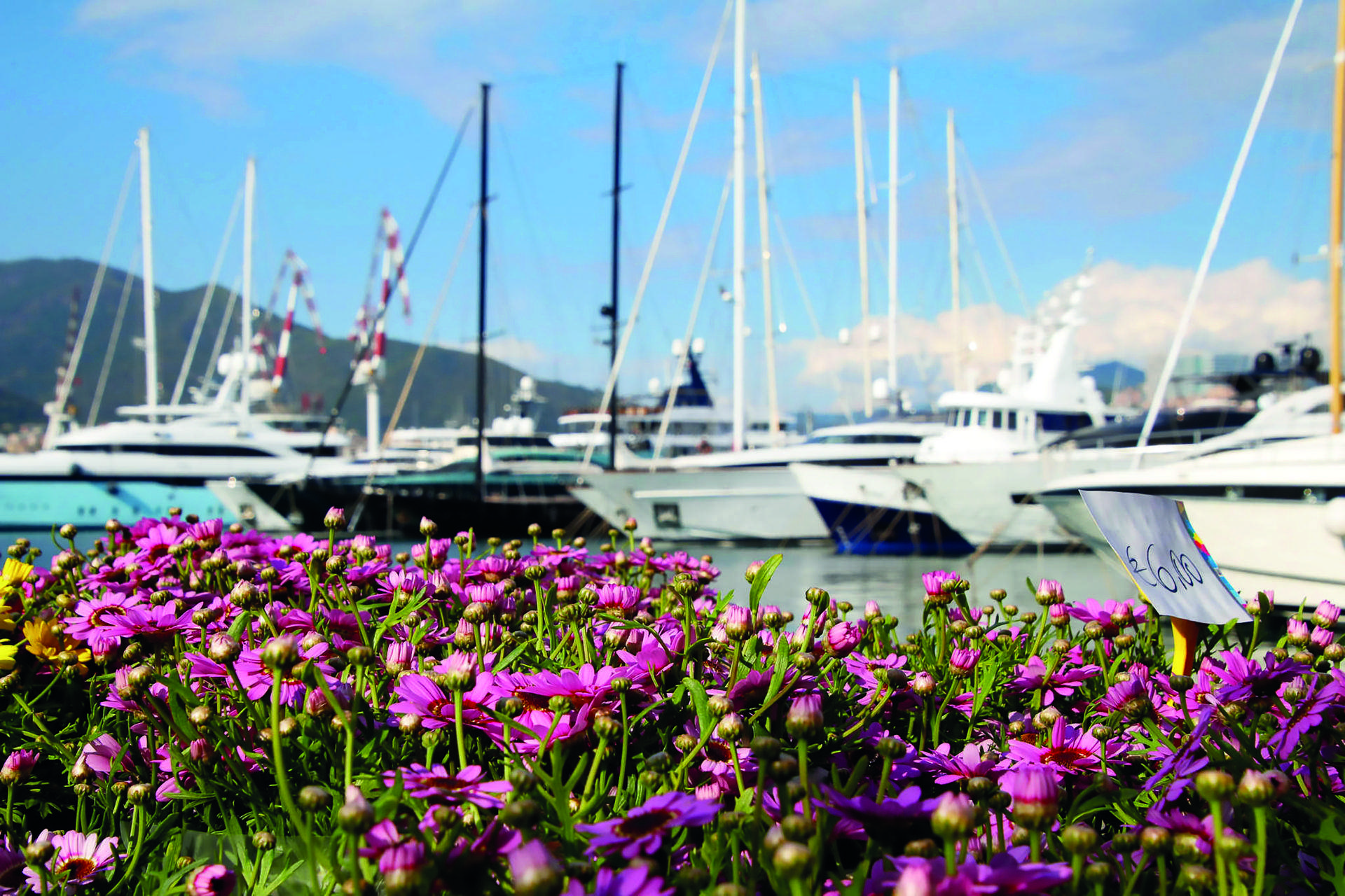 Yacht Garden Marina Genova
