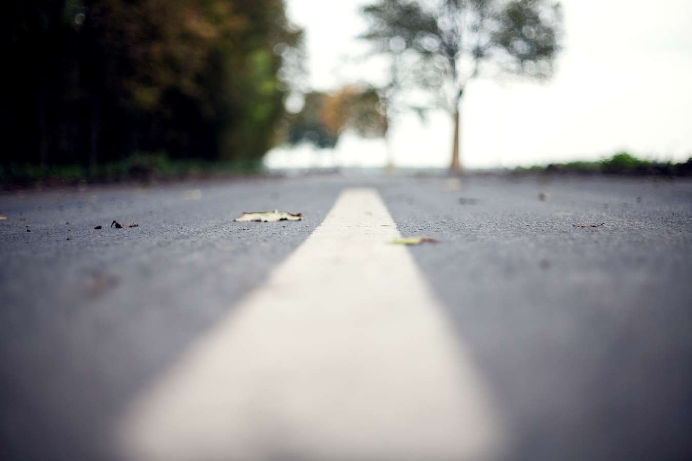 strada asfalto lavori
