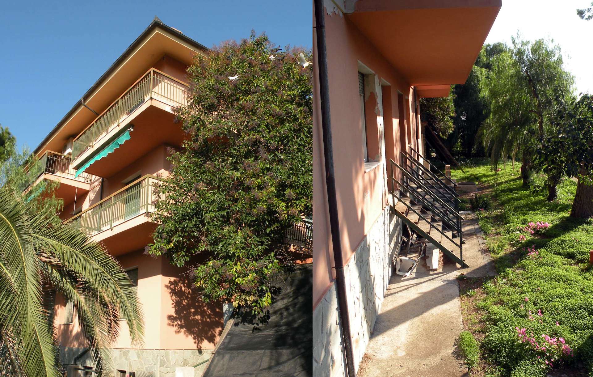alassio via adelasia