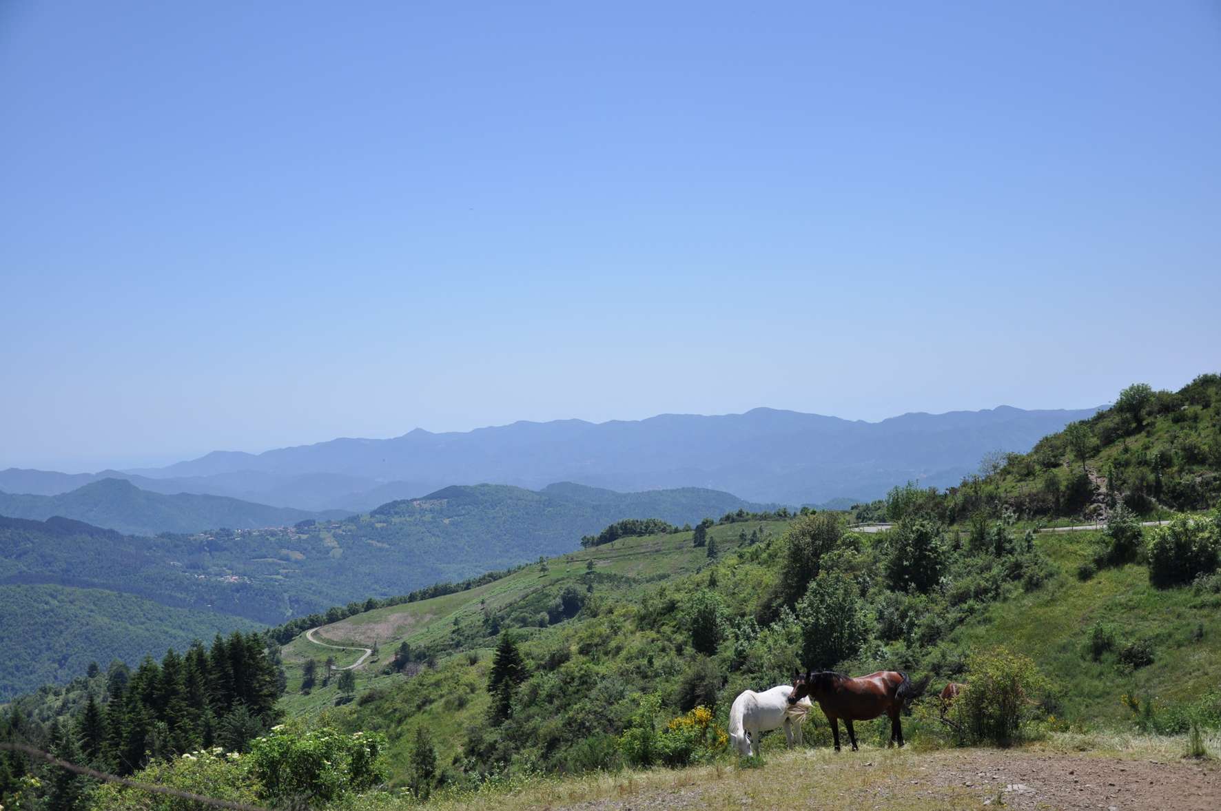entroterra sentieri alta via spezzina – davide de carli