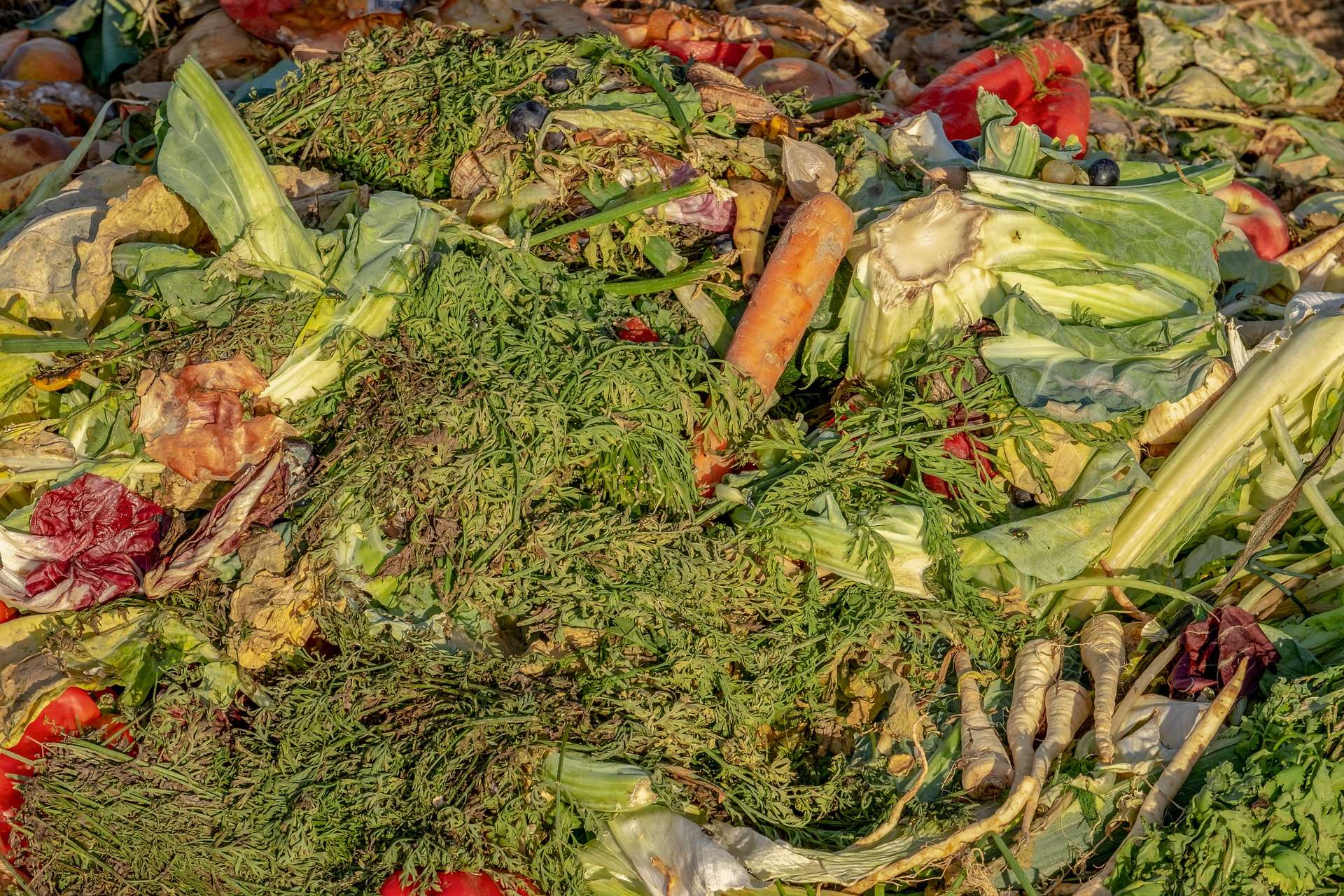 compostaggio domestico