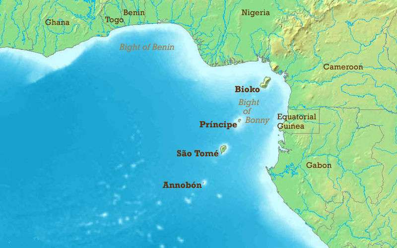 guinea 2