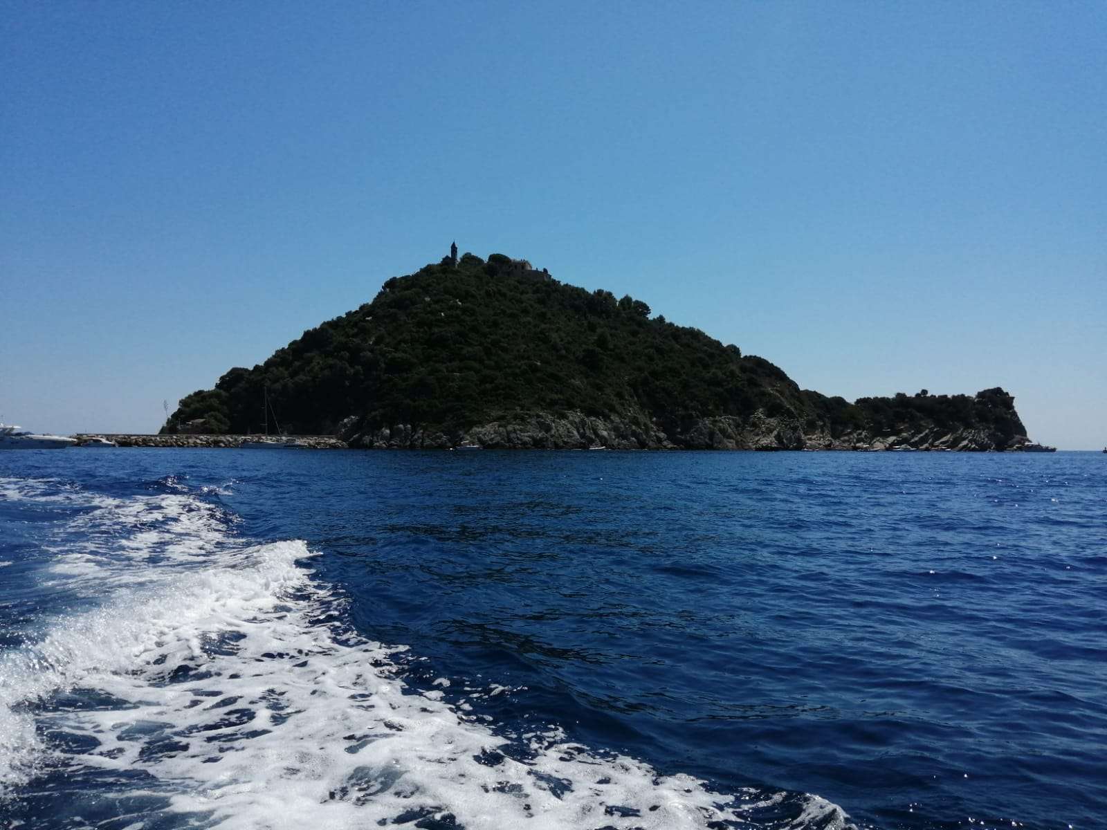 isola gallinara Albenga (7)