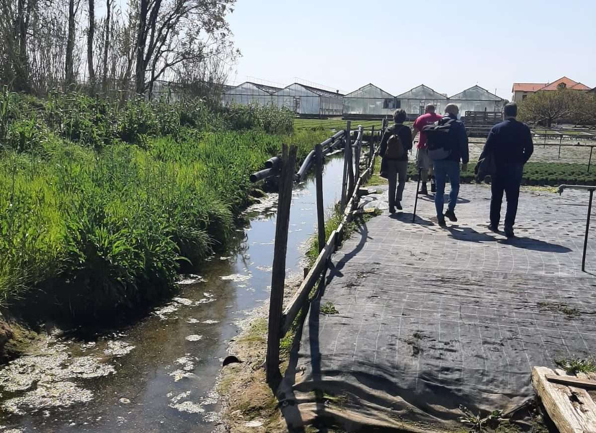 sopralluogo albenga bonifica
