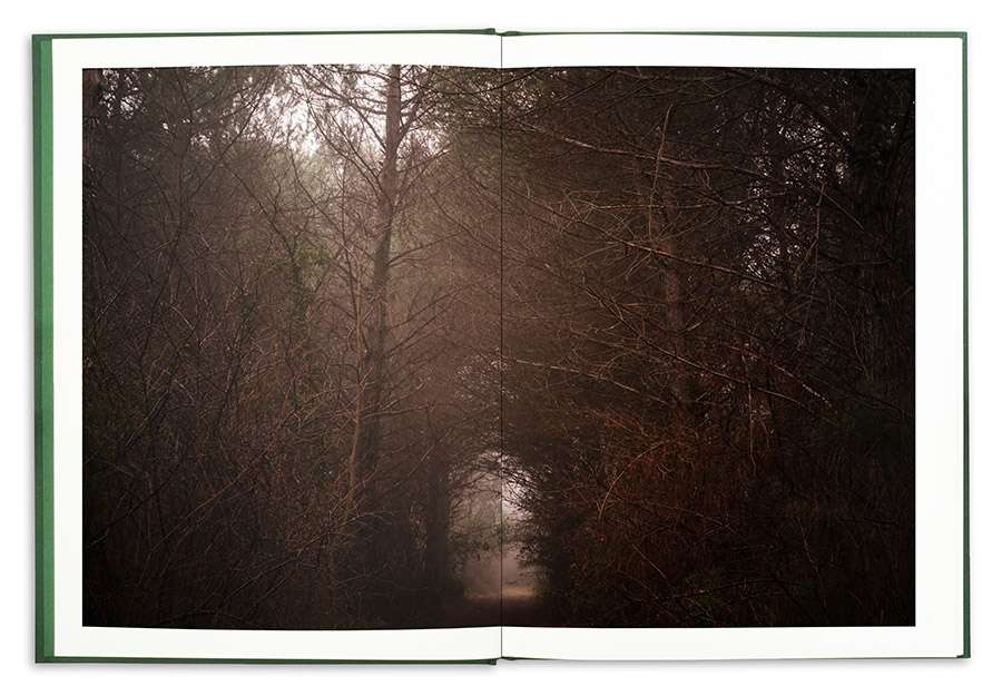 La Divina Foresta Spessa e Viva