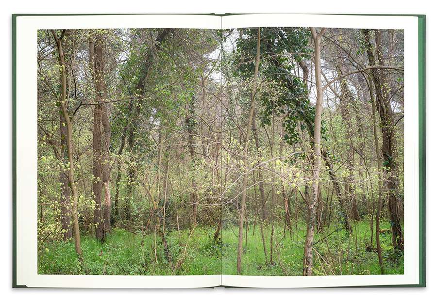 La Divina Foresta Spessa e Viva