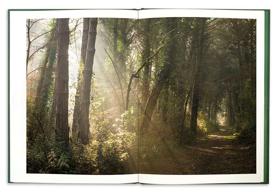 La Divina Foresta Spessa e Viva