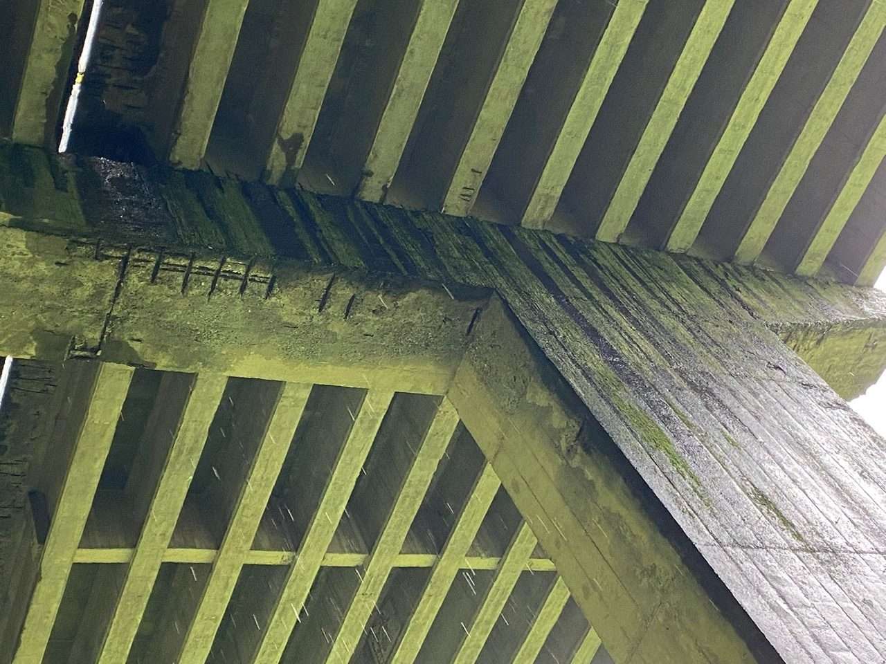 Viadotto Capodonico1