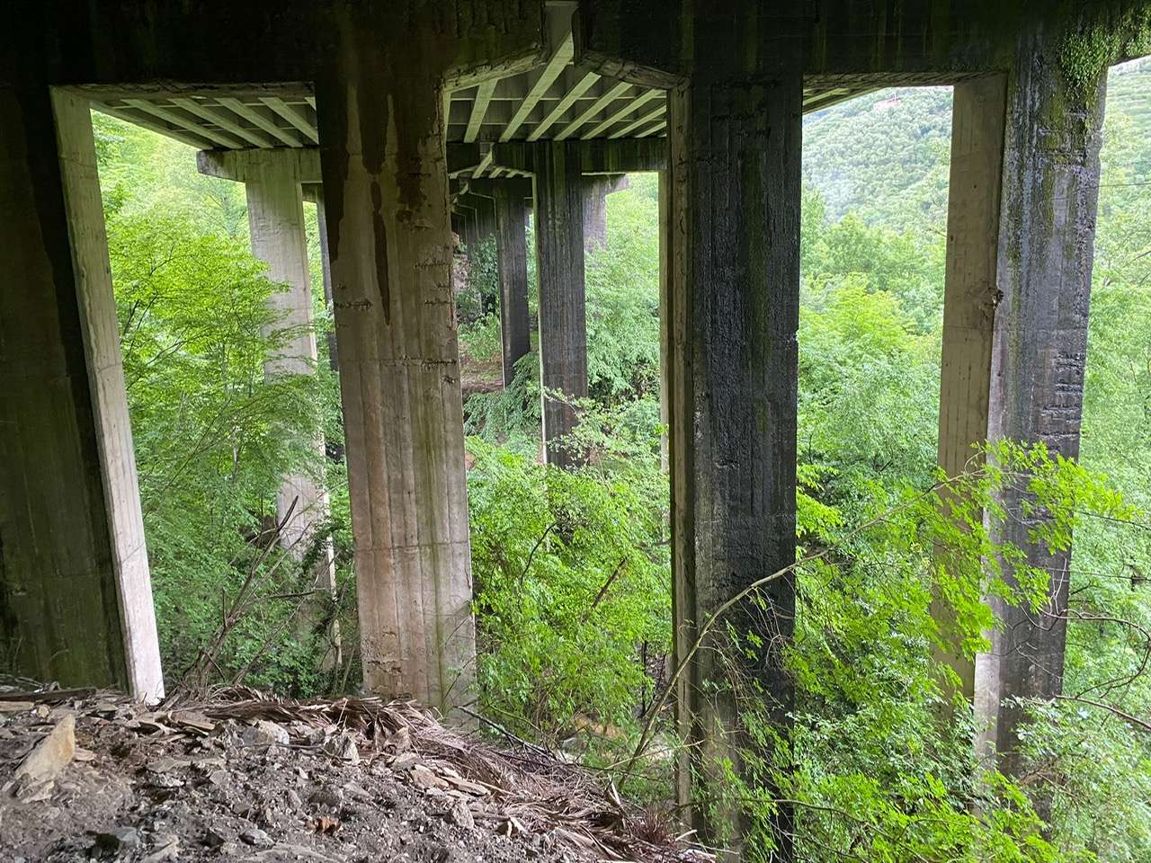 Viadotto Capodonico2