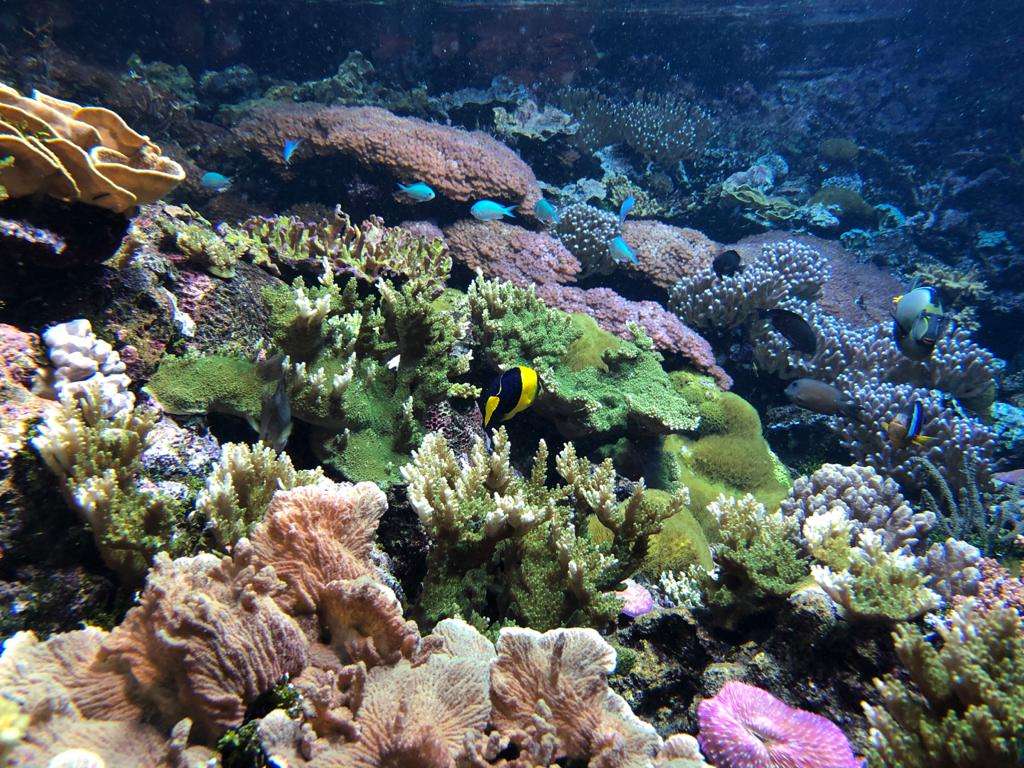 laguna acquario di genova