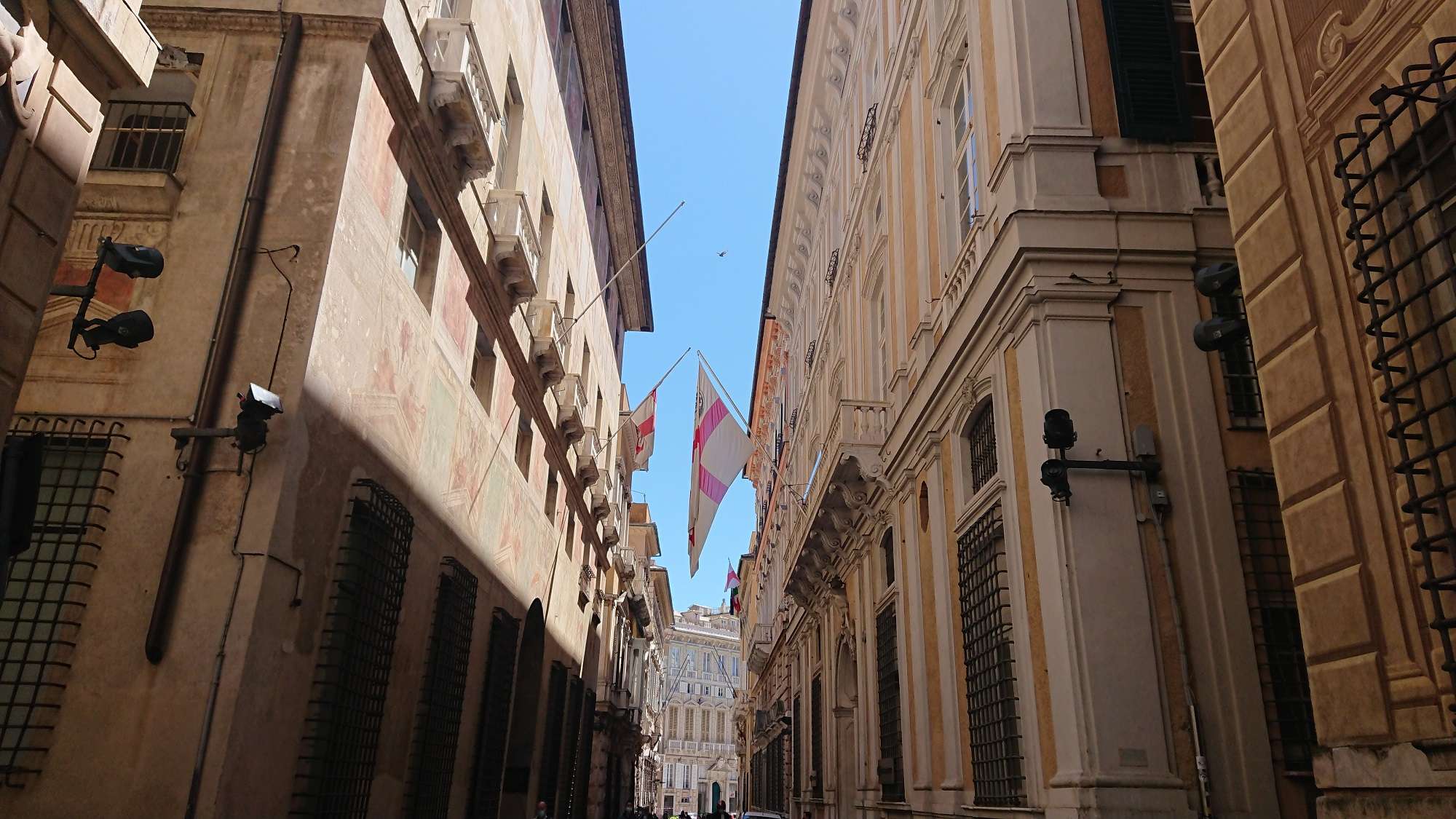 palazzi rolli days